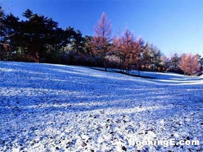 沈陽風光